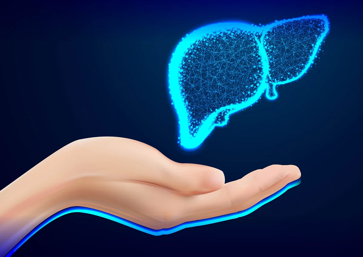 Фотографія Еластографія печінки 3