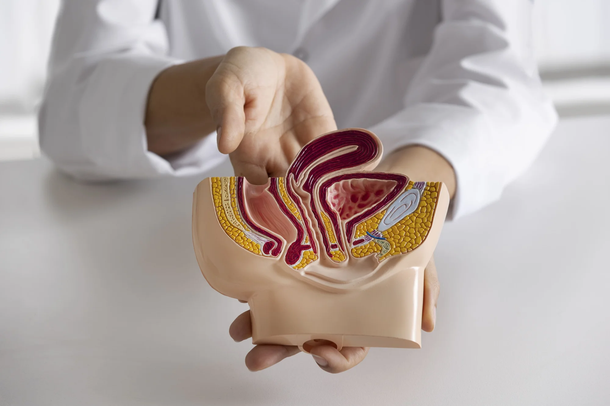 Photo of Pex (plasty) of haemorrhoidal nodes 1